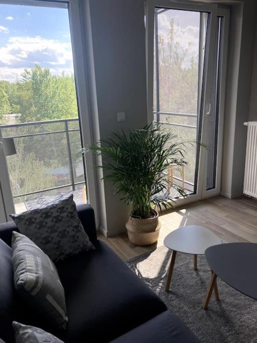 Sloneczny Apartament Z Garazem Przy Parku Kosciuszki Катовице Екстериор снимка